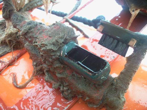 Seapoint turbidity sensor after deployment
