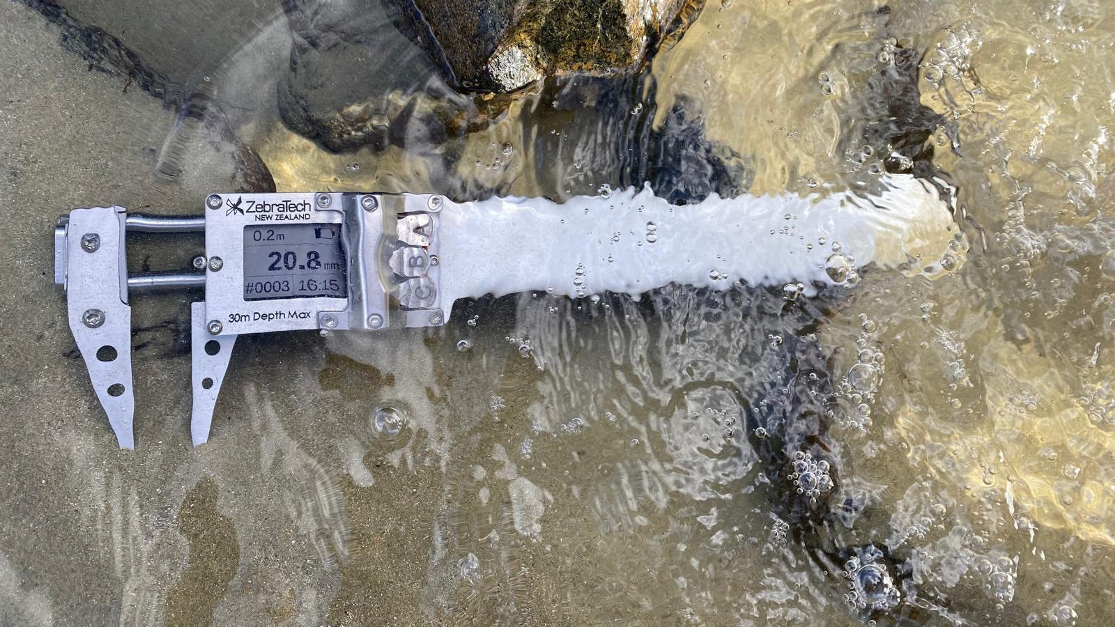 Dive Calliper in the shallows