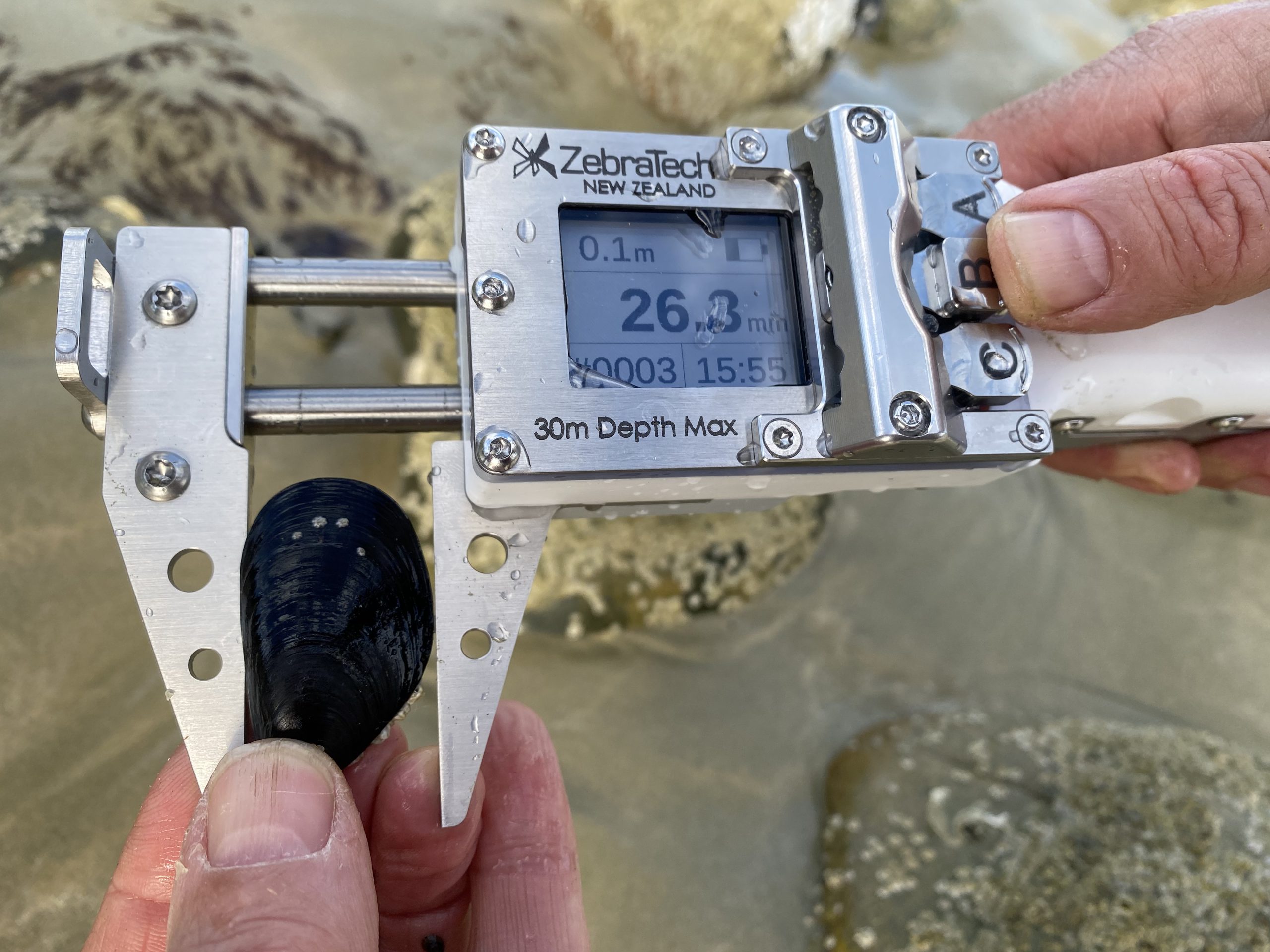 Dive Calliper recording a mussel measurement and water depth