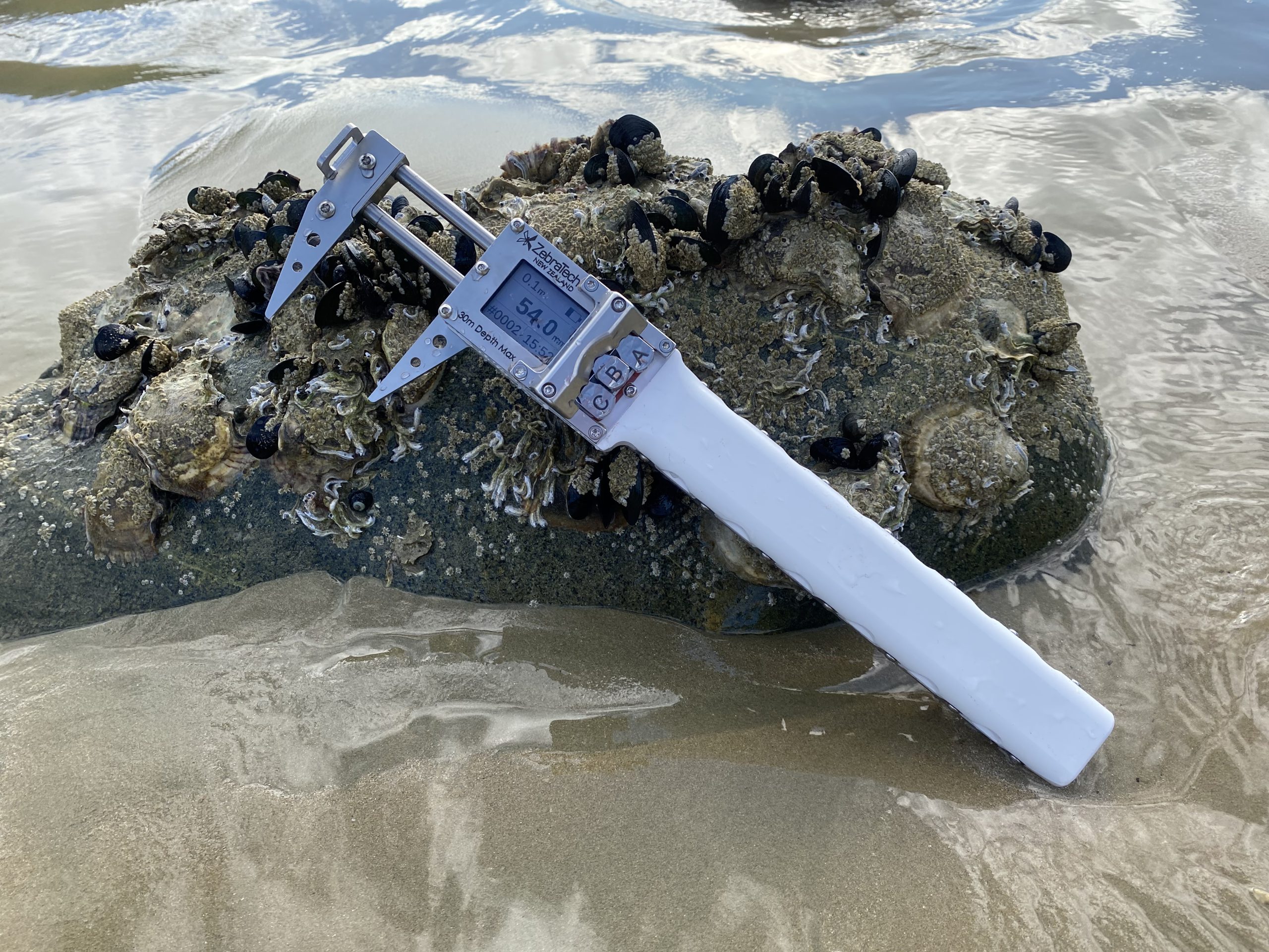 ZebraTech Dive Calliper measuring shellfish on a rock