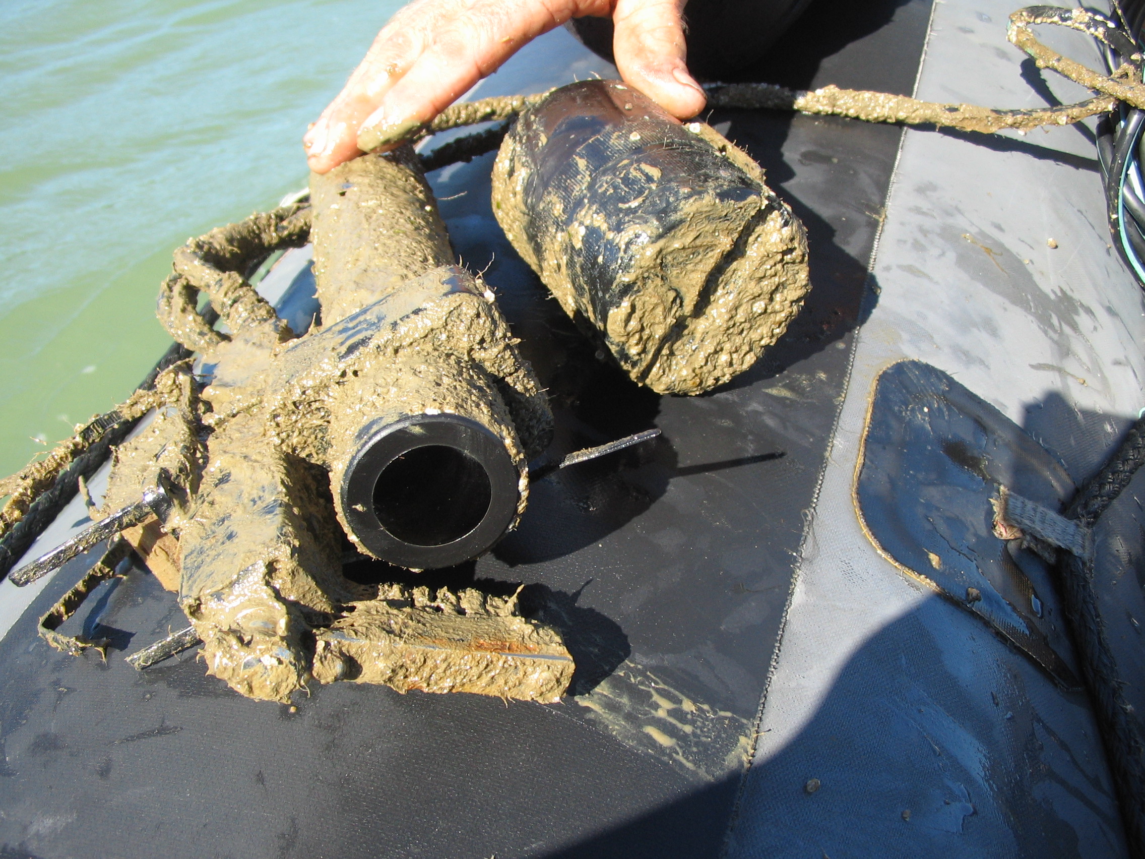 Biofouled sensor recovered after deployment