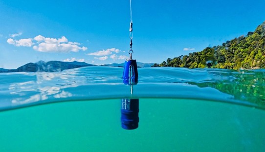 Moana TD Sensor at the surface in the Marlborough Sounds